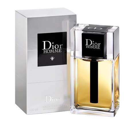 cristian dior for men|dior homme original fragrantica.